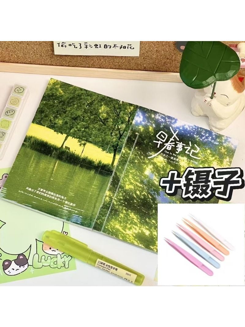 Set de Sticker Book Diario de Primavera Estilo Ins con Pinzas